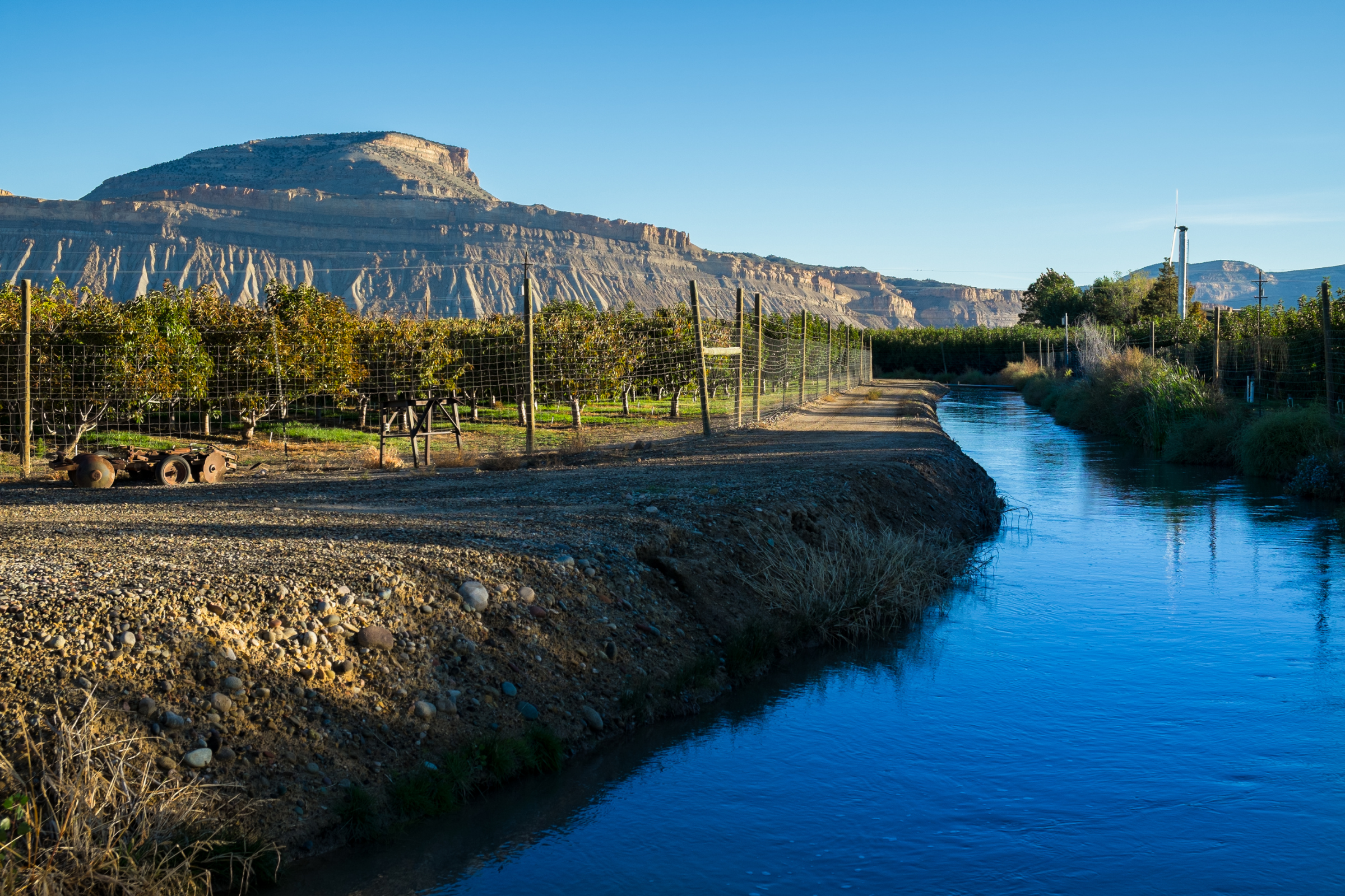 palisade, colorado (3).webp